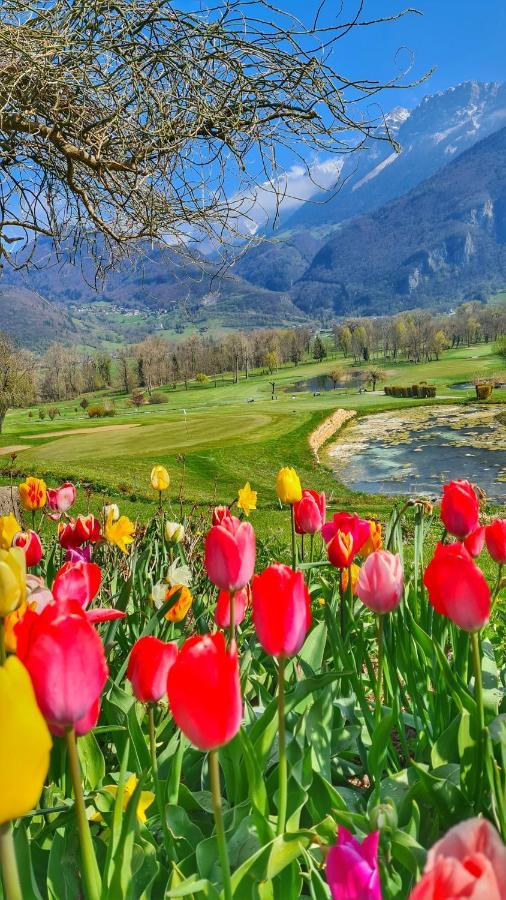 Manou Du Lac Annecy Doussard Esterno foto